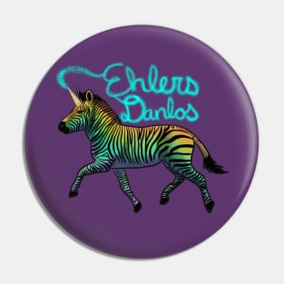 Ehlers Danlos Rainbow Zebracorn Pin