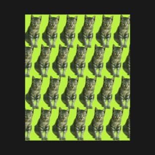 Pattern of cute tabby cat on green background T-Shirt