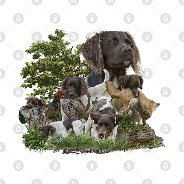 Munsterlander by German Wirehaired Pointer 