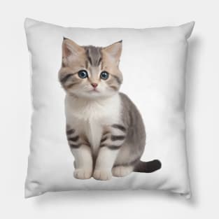 Nature, Cute Little Cat Pillow