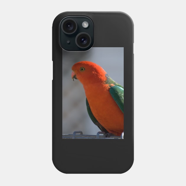 King Parrot #1 Phone Case by DeborahMcGrath