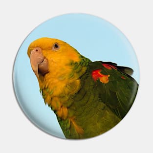 MACAW BIRD Pin