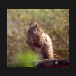 Red Squirrel T-Shirt