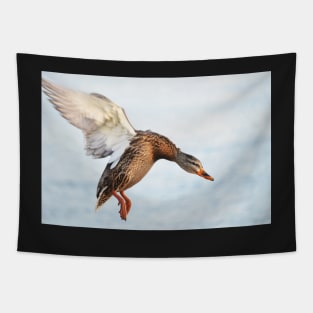 Mallard Duck Tapestry