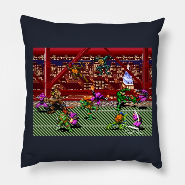 TMNT Battletoads Crossover with my signature Pillow by Casey McCoy ARTS 