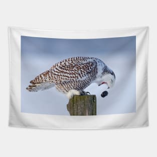 Cough it up buddy - Snowy Owl Tapestry