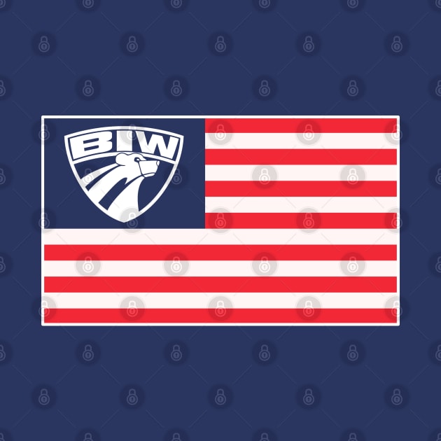 BIW USA by TheRealJoshMAC