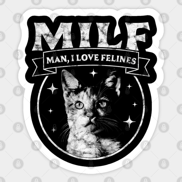Real Men Love Cats T-Shirt Funny Cat Lover Gift Idea Real Men Love Cats T-Shirt Funny Cat Lover Gift Idea