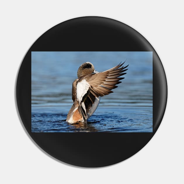 Wings of the Wigeon Pin by SHWILDLIFE