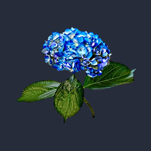 Blue Hydrangea With Leaves by SusanSavad