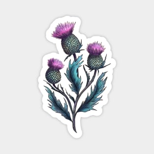 Magical herb. Thistle Magnet