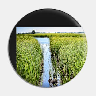 "Wetlands" Pin