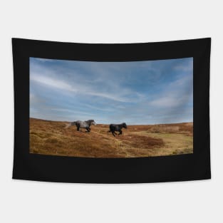 Wild Welsh Ponies Tapestry