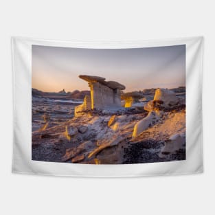 Bisti Badlands Tapestry