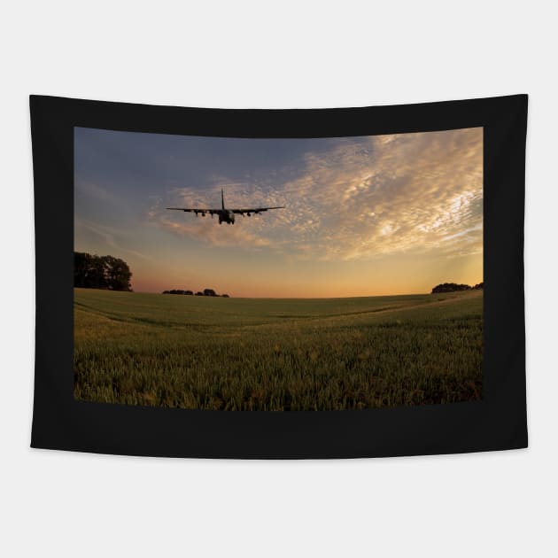 Hercy Bird Tapestry by aviationart