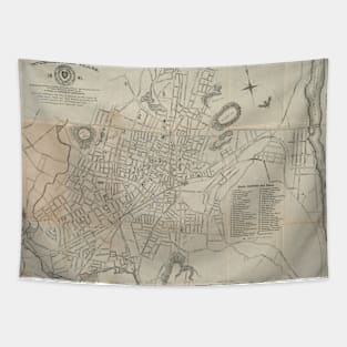 Vintage Map of Worcester MA (1891) Tapestry