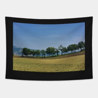 Serene days Tapestry