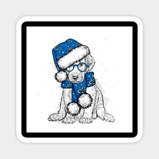 beautiful-dog-christmas-hat-new-years-clothes Magnet