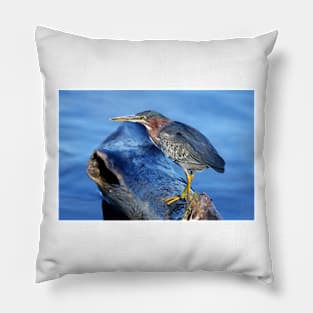 Green Heron Pillow