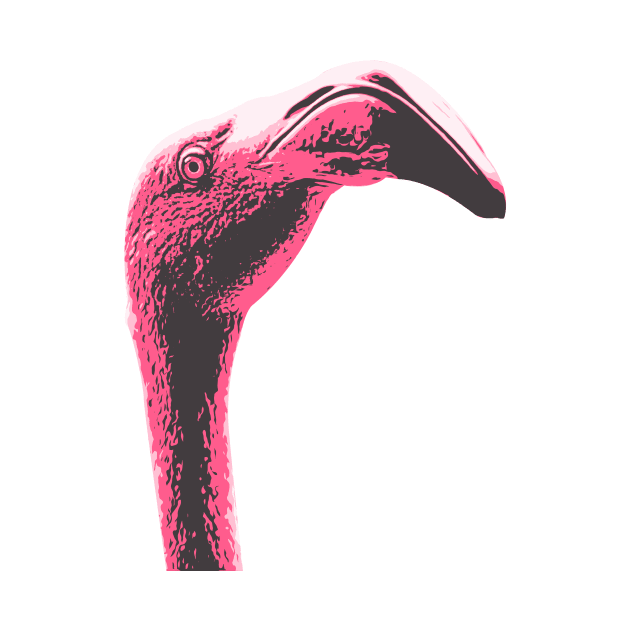 Funny Flamingo by boholoc0