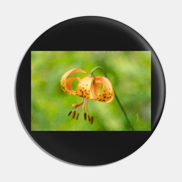 Impressionist Lily Pin by EugeJ