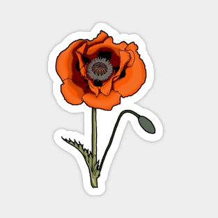 Red poppy flower with stem Magnet