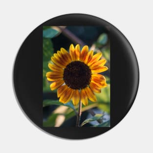 Garden Sunset Pin