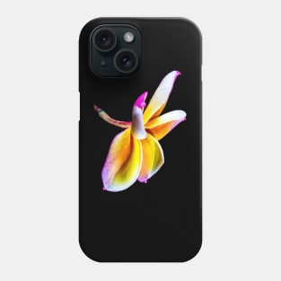 plumeria-flowers-dress-frangipani-floral-colorful-blossom-shirtyshirto-32 Phone Case