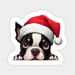 Christmas Peeking Boston Terrier Dog Magnet