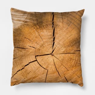 Wooden Tree Circle Texture - Alternative Pillow