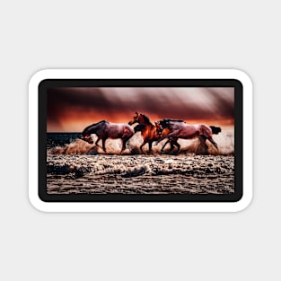 Horses Magnet