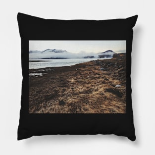 Long Brown Grass by Atlantic Ocean Inlet on Cold Sunny Winter Day Pillow