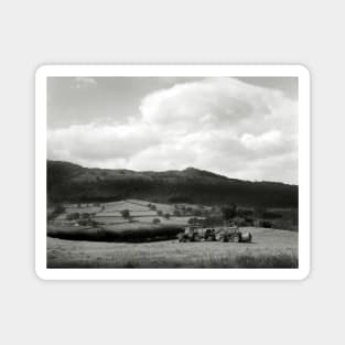 Collecting the bales - near Conwy, North Wales Magnet