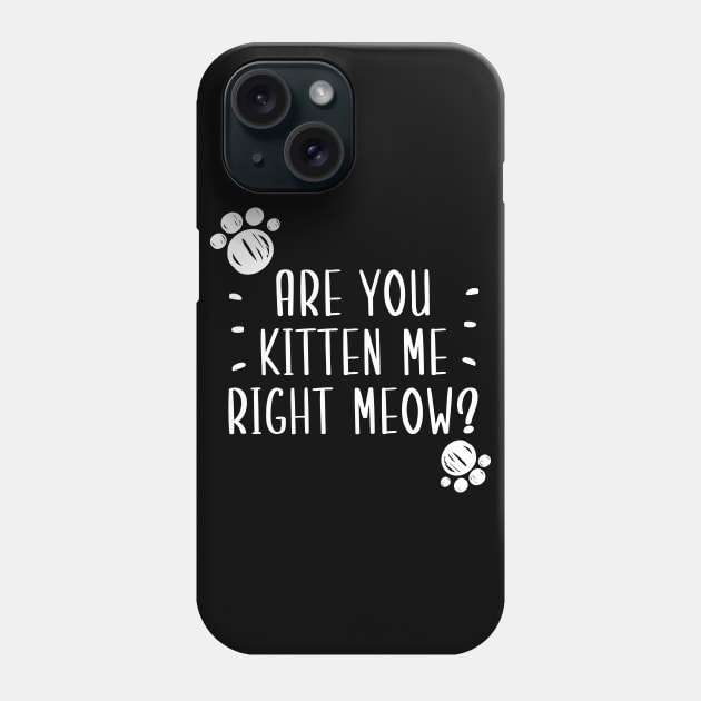 Are You Kitten Me Right Meow Phone Case by Health