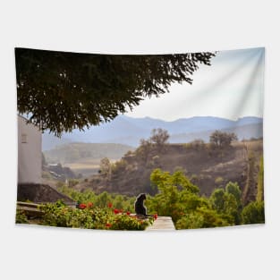 Cat And Beautiful Panoramic View Tapestry