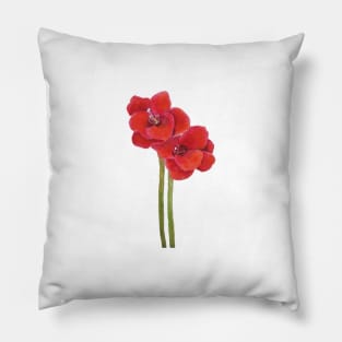 two orange Amaryllis flowers Pillow