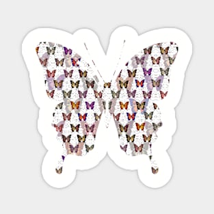 Butterflies Variation 03 Magnet