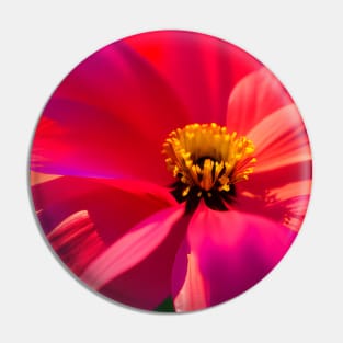 Extreme Close Up in a Field of Red Poppies (MD23Mrl016) Pin