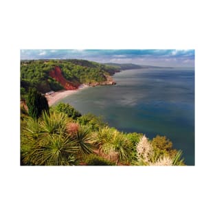 Oddicombe Beach Babbacombe Bay Devon T-Shirt