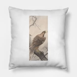 Eagle by Ohara Koson Pillow