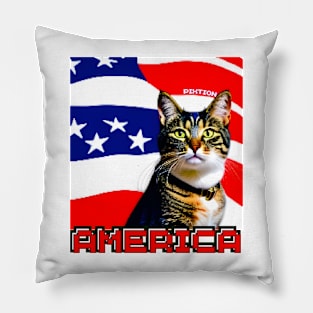 American Cat Pillow