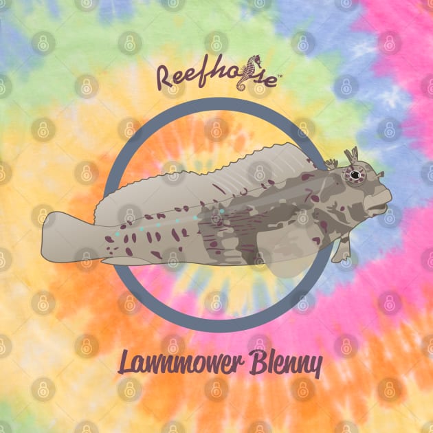 Lawnmower Blenny by Reefhorse