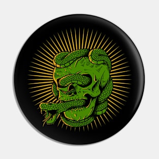 Skull And Snake Pin