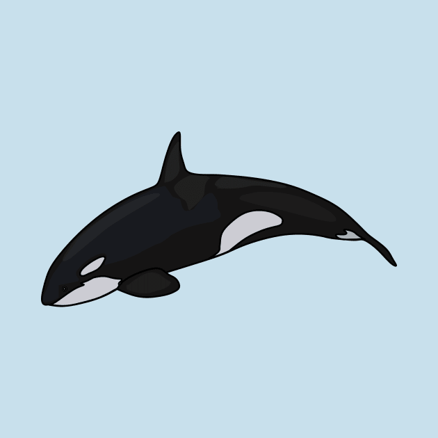 Killer whale cartoon illustration by Miss Cartoon