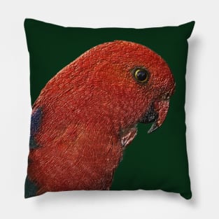 Lorikeet, Australia. Pillow