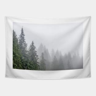 Fog Blanketed Evergreen Trees Tapestry