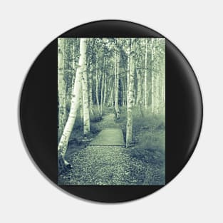 Path through forest. Pin