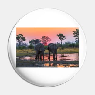 Elephants at sunset Pin