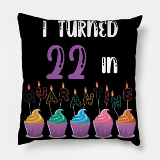 I Turned 22 In Quarantine funny idea birthday t-shirt Pillow