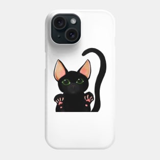 Murder Mittens Phone Case